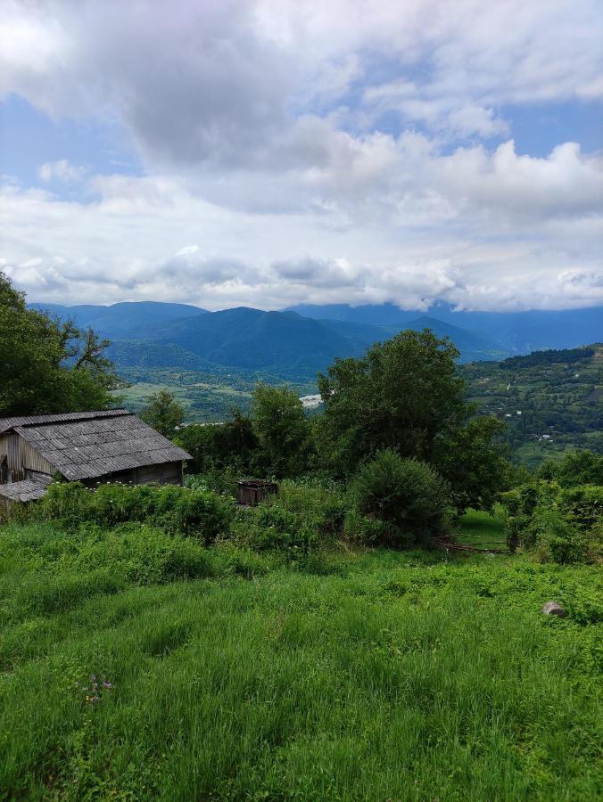 Racha Chogovadze'S Guest House Ambrolauri Luaran gambar