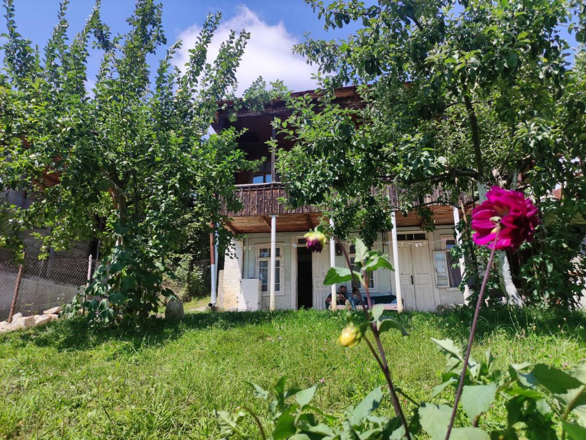 Racha Chogovadze'S Guest House Ambrolauri Luaran gambar